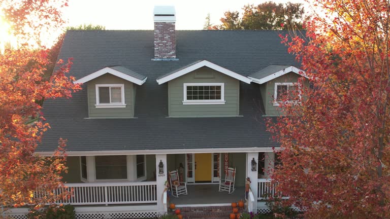 Fast & Reliable Emergency Roof Repairs in Wills Point, TX